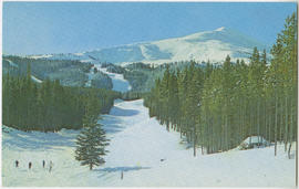 Rounder's Run and Ego Lane at Peak 8 Ski Area in Breckenridge, Colorado