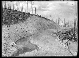 Spruce Creek ditch of the Gold Pan Mining Company operations