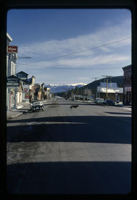 A dog walks across Main Street in Breckenridge