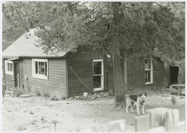 Southeast face of house at 319 North French Street, Breckenridge