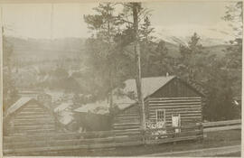 Edwin Carter's log cabin and museum on Ridge Street