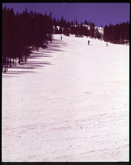 Ego Lane ski run on Peak 8 of the Breckenridge ski area