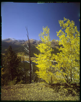 Boreas Pass in autumn, with a view of Quandary Peak, Mount Helen and Peak 10