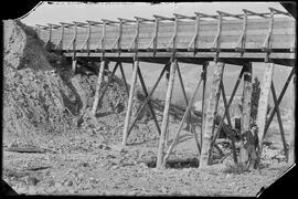 Man standing under the Gold Pan Mining Company's elevated flume