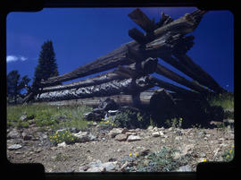 Remains of a log cabin near Breckenridge