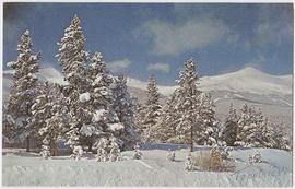 Snowy landscape with snow-capped peaks of the Tenmile Range