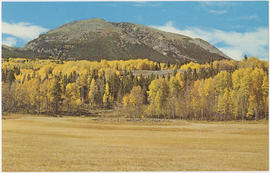 View of Buffalo Mountain, Summit County