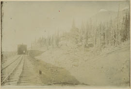 Snowshed over the railroad tracks approaching Boreas Pass from Breckenridge