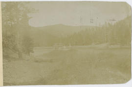 Wapiti Mining Company's automatic dam on the Swan River near Breckenridge