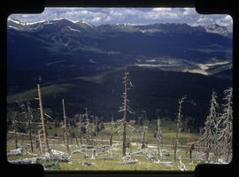 View of Breckenridge and the Breckenridge ski area