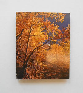 Plaque, aspen trees in autumn along Boreas Pass Road