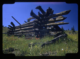 Remains of a log cabin near Breckenridge