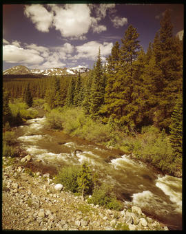 Swan River, northeast of Breckenridge