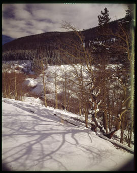 Snow-covered dredge tailings in French Gulch, east of Breckenridge